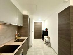 The Florence Residences (D19), Apartment #557095431
